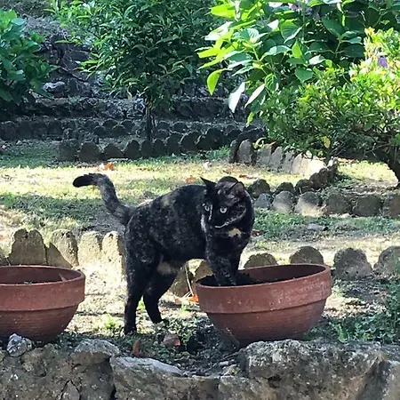 Il Giardino Di Nina Gasthuis